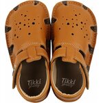 Tikki Aranya Musztardowy