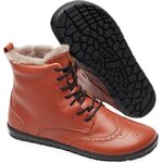 Zaqq QUINTIC WINTER BROGUE (LIMITED AVAILABILITY) Cognac