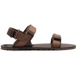 Xero Shoes D-Trail för herrar Cocoa Brown / Java Brown (brun)