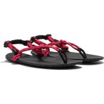 Xero Shoes Genesis - men Red