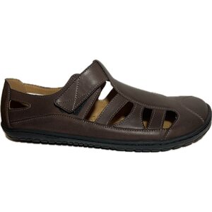 OK bare Clove, Dark Brown, 37