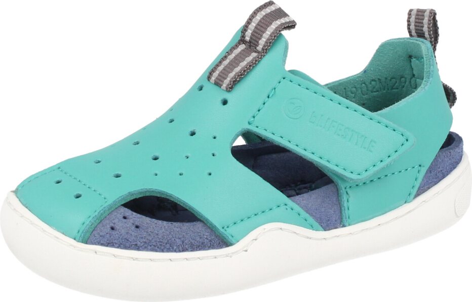 BLifestyle Gerenuk Petrooli