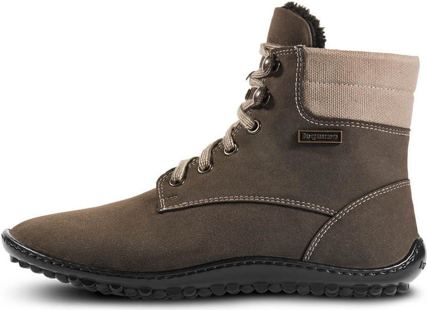 Leguano Icebare 茶色