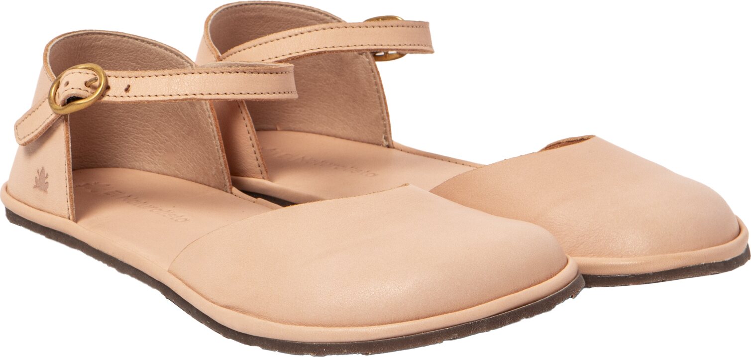 El Naturalista Kesäballeriinat Salmon