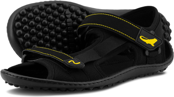 Leguano Attrekktive Musta