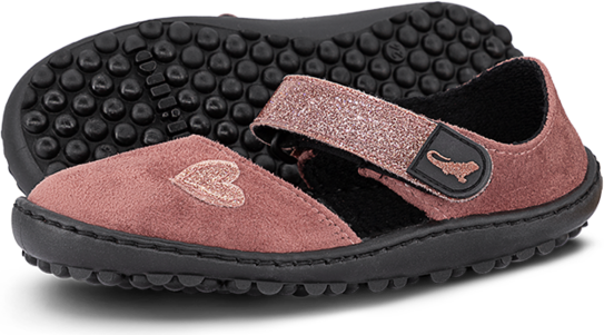 Leguano Leguanito Jarina Rose