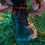 Freet Connect 3 (LIMITED AVAILABILITY)