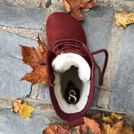 Shapen Urbaneer