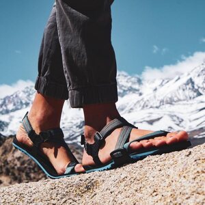 Xero Shoes Z-Trail men's