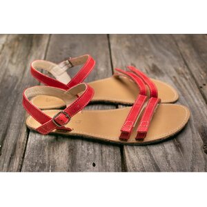Be Lenka Summer