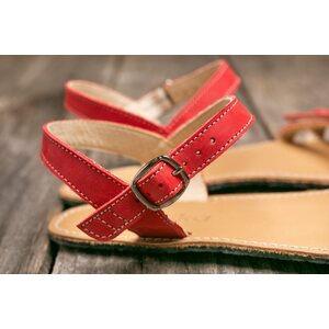 Be Lenka Summer
