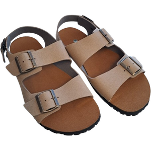 Bioworld Chad Transition