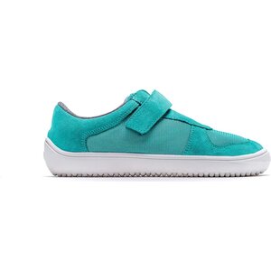 Be Lenka Joy ( 2023 colours)