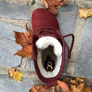 Shapen Urbaneer